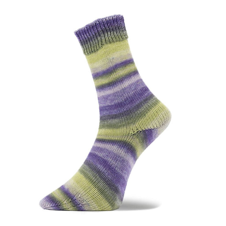 Woolly Hugs Weltrekord Sockenwolle 100g, Farbe 7 – Schurwolle und Synthetik bei Lieblingsgarn
