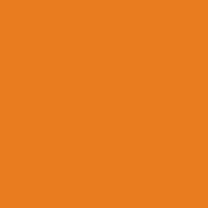 Jacquard Acid Dye Farben 14g