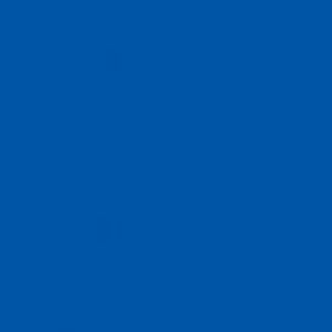 Jacquard Acid Dye Farben 14g