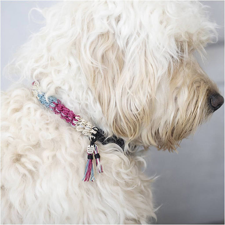 Creativ Company Mini Häkeln-Set Hundehalsband bei bei bei bei bei bei bei bei bei bei Lieblingsgarn