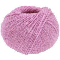 31 - Rosa