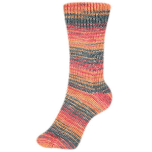 Schoeller + Stahl Fortissima Socka 4F Color