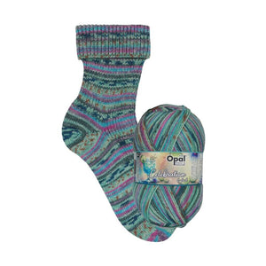 Opal 6fach Celebration