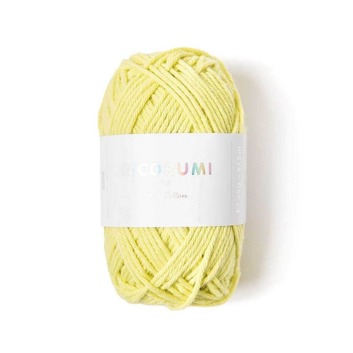 Rico Design 046 - Hellgrün Rico Design Creative Ricorumi DK Lieblingsgarn