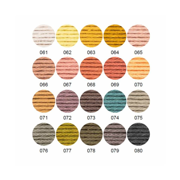 Rico Design Ricorumi Set Uni - 20 Farben Limited bei bei bei bei bei bei bei bei bei bei bei Lieblingsgarn
