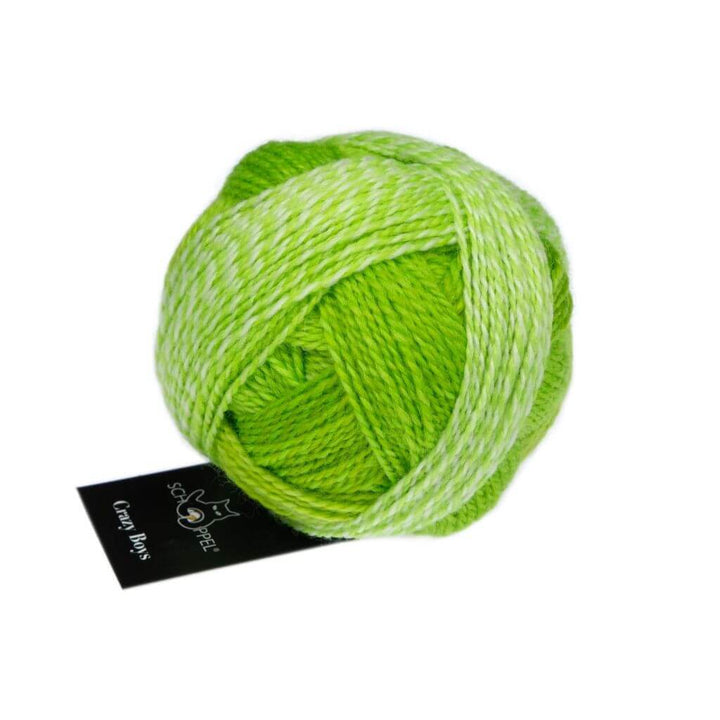 Schoppel Wolle Crazy Boys, Farbe 2697 Kurt Georg – Schurwolle und Synthetik bei Lieblingsgarn