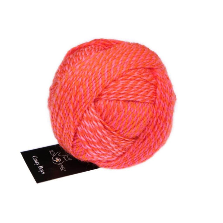 Schoppel Wolle Crazy Boys, Farbe 2705 Gerhard – Schurwolle und Synthetik bei Lieblingsgarn