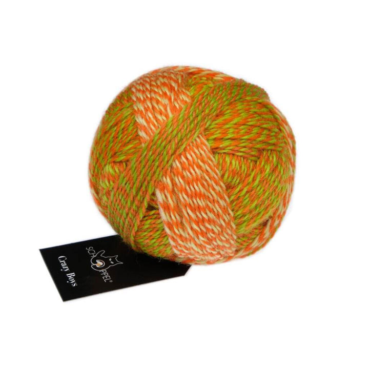 Schoppel Wolle Crazy Boys, Farbe 2706 Olaf – Schurwolle und Synthetik bei Lieblingsgarn