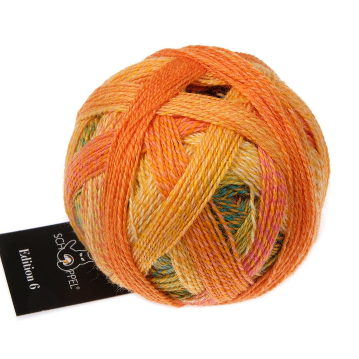 Schoppel Wolle Edition 6, Farbe 2594 Katzengold – Schurwolle bei Lieblingsgarn