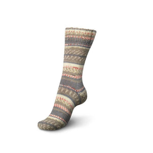 Schachenmayr Regia 6-Fädig Color 150G