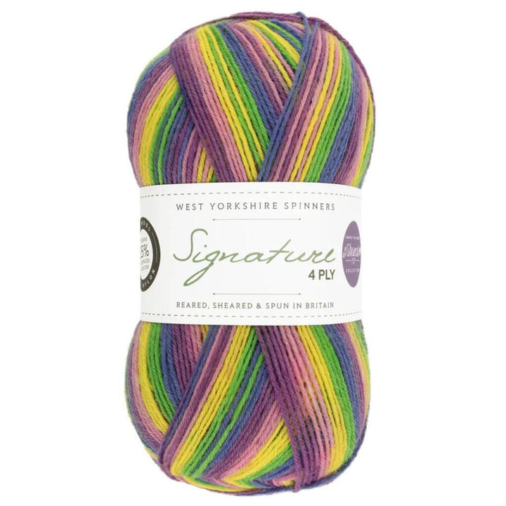 West Yorkshire Spinners Signature 4ply Winwick Mum bei bei bei bei bei bei bei bei bei bei Lieblingsgarn