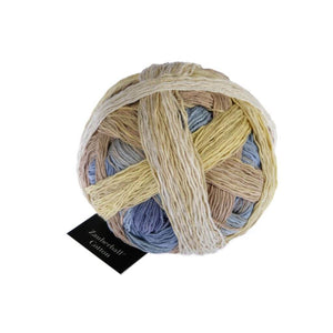 Schoppel Wolle Zauberball Cotton