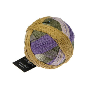 Schoppel Wolle Zauberball Cotton